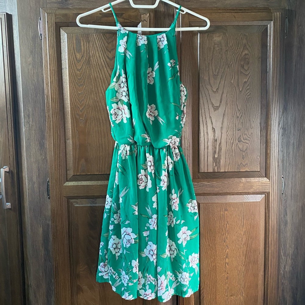 Francesca’s Blue Rain Green Floral Mini Dress - Size Small